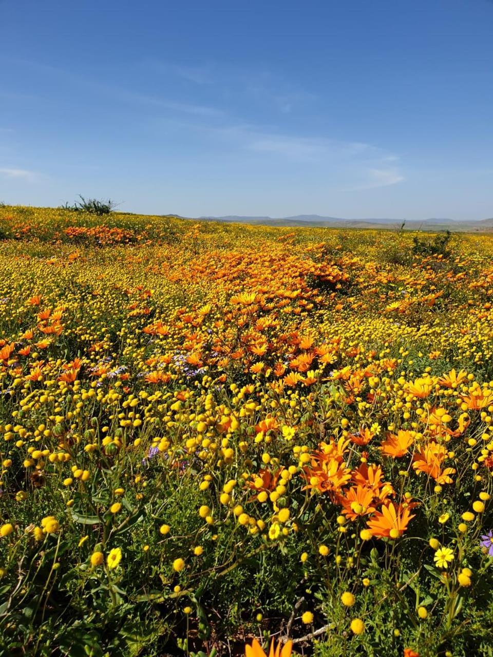 Namaqualand Eco Lodge Soebatsfontein Exterior photo